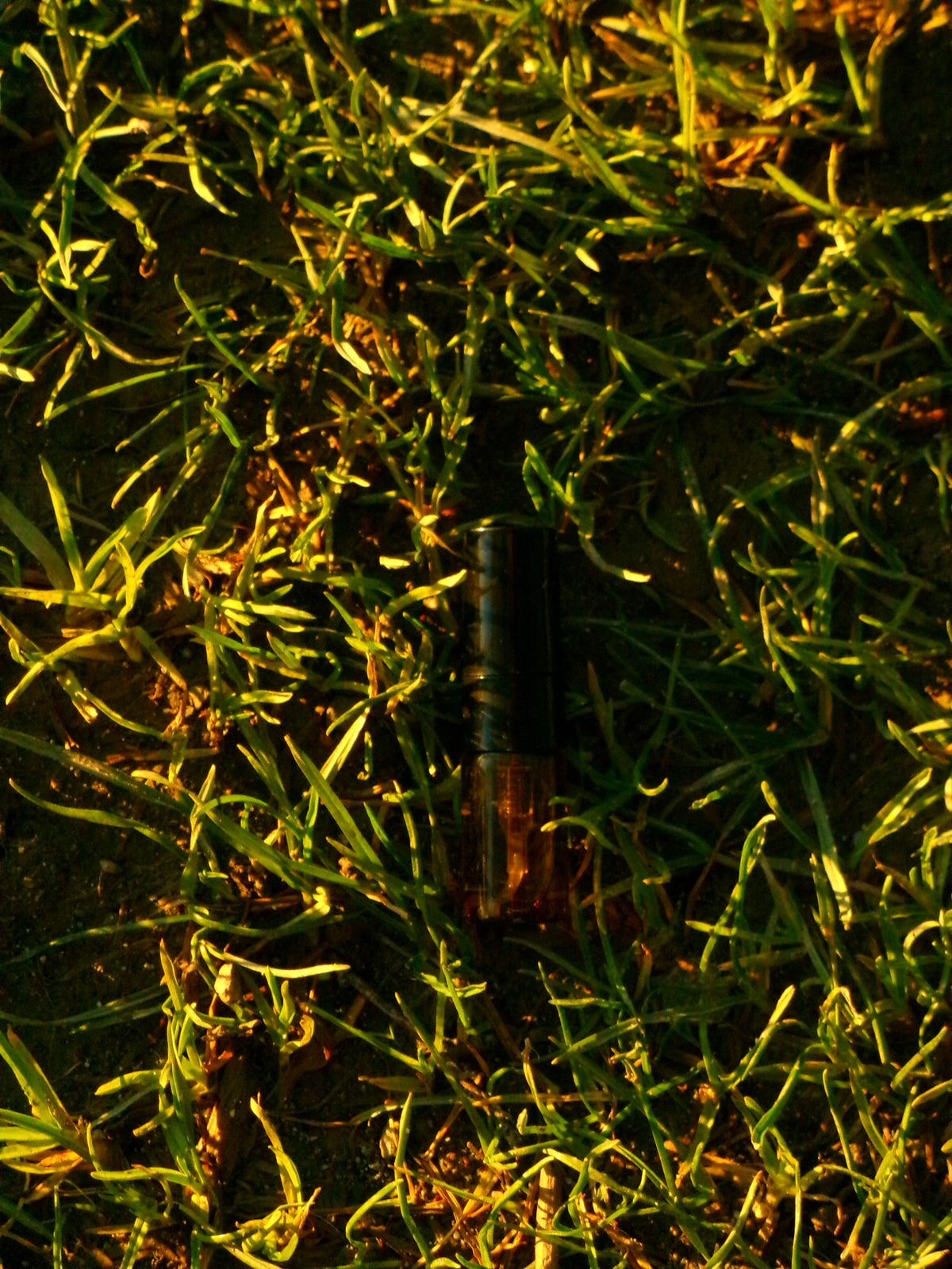 2ml Sample of Lavender Field