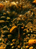 2ml Sample of Amalfi Paradisi